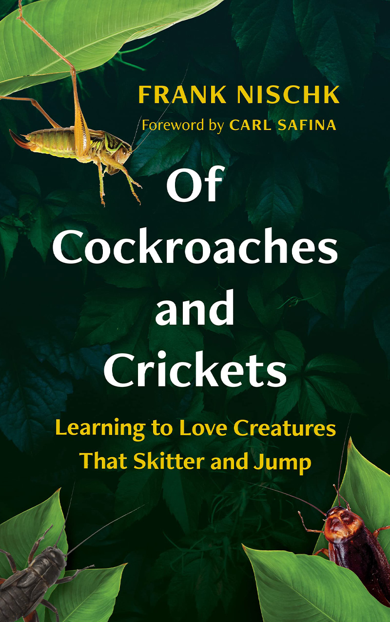 galerie-of-cockroaches-and-crickets.jpg